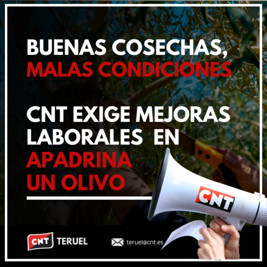 CNT reclama mejoras laborales en la Asociación Apadrina un Olivo